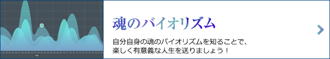 魂のバイオリズム